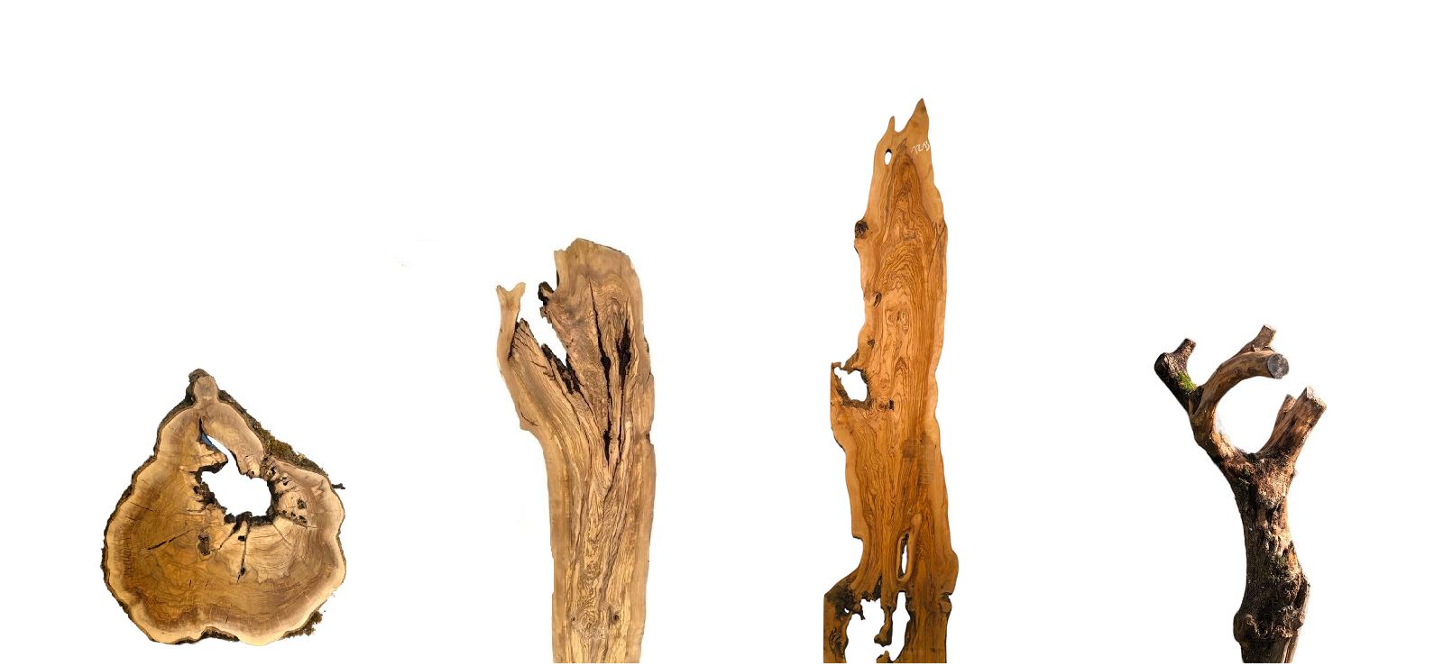 Große Olivenholz Bohlen und Baumscheiben mit natürlicher Maserung und Loch für Tischbau und Epoxidharz Projekte